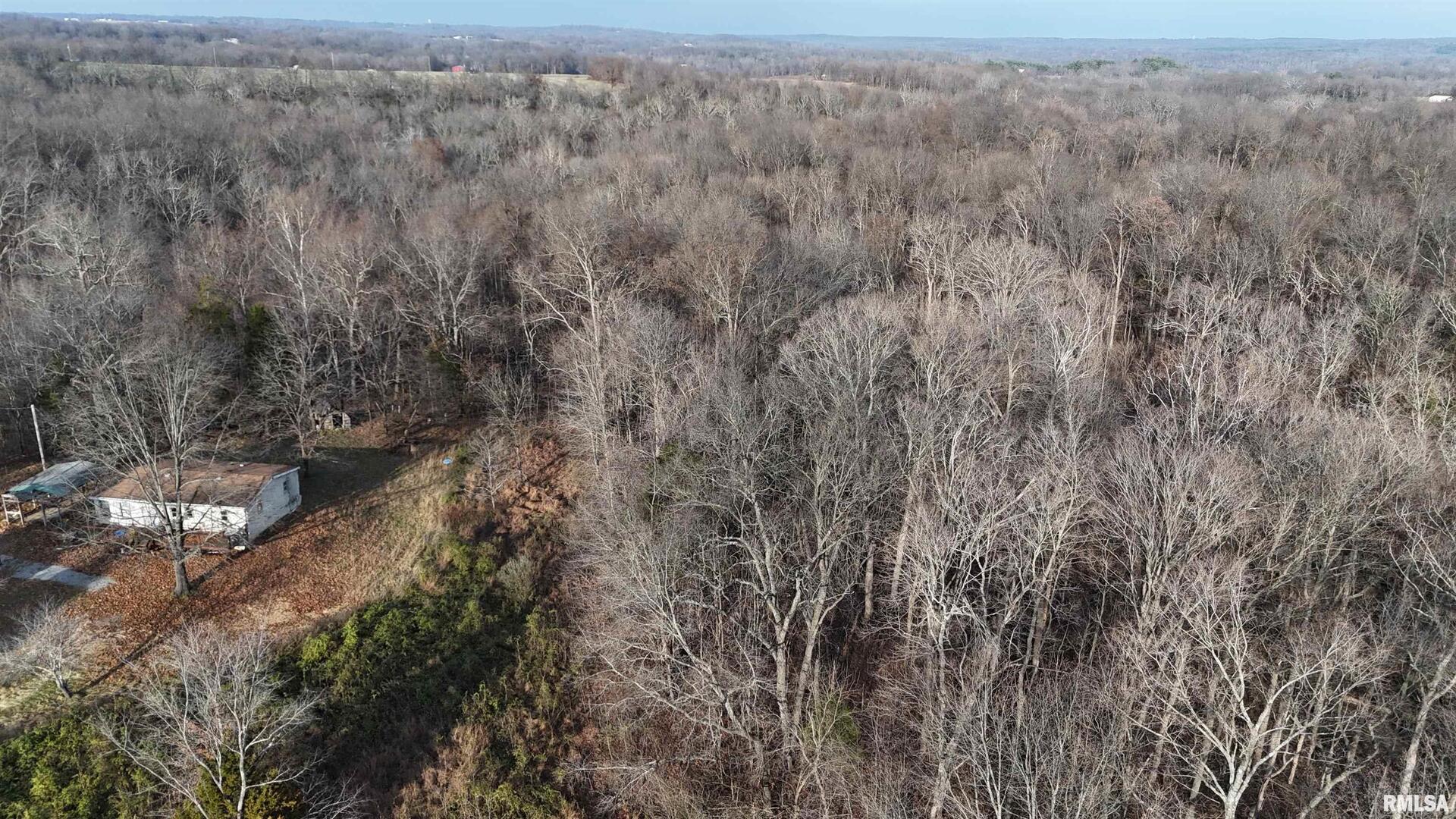 535 Cass Lane Cobden, IL 62920 - Photo 2 of 21 a view of a yard