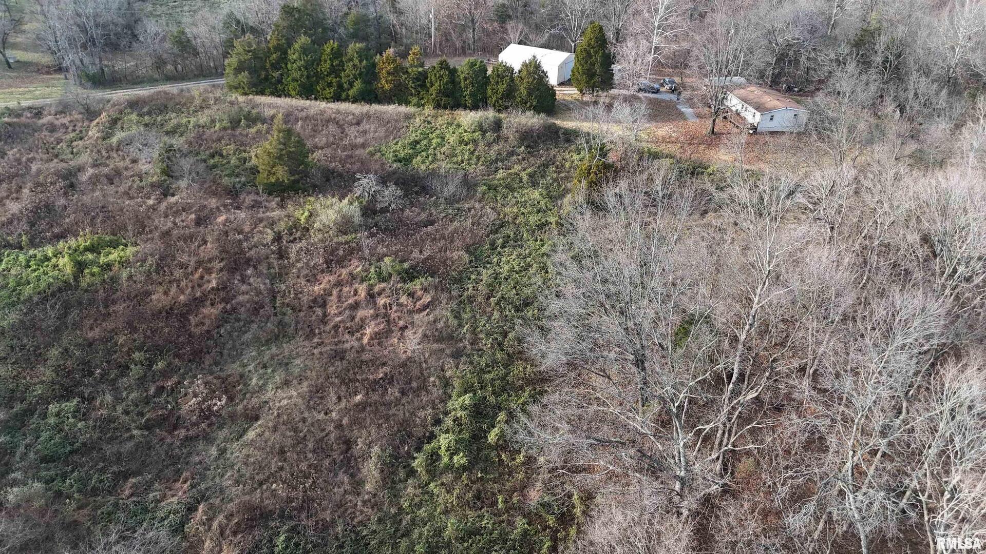 535 Cass Lane Cobden, IL 62920 - Photo 21 of 21 a backyard of a house with lots of green space