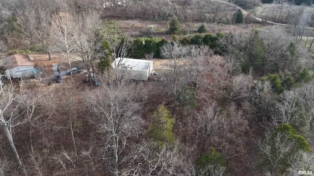a view of a dry yard with large trees