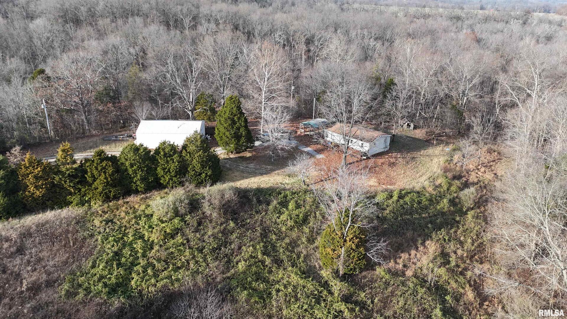 535 Cass Lane Cobden, IL 62920 - Photo 5 of 21 a view of a yard with a tree