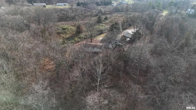 a view of a dry yard