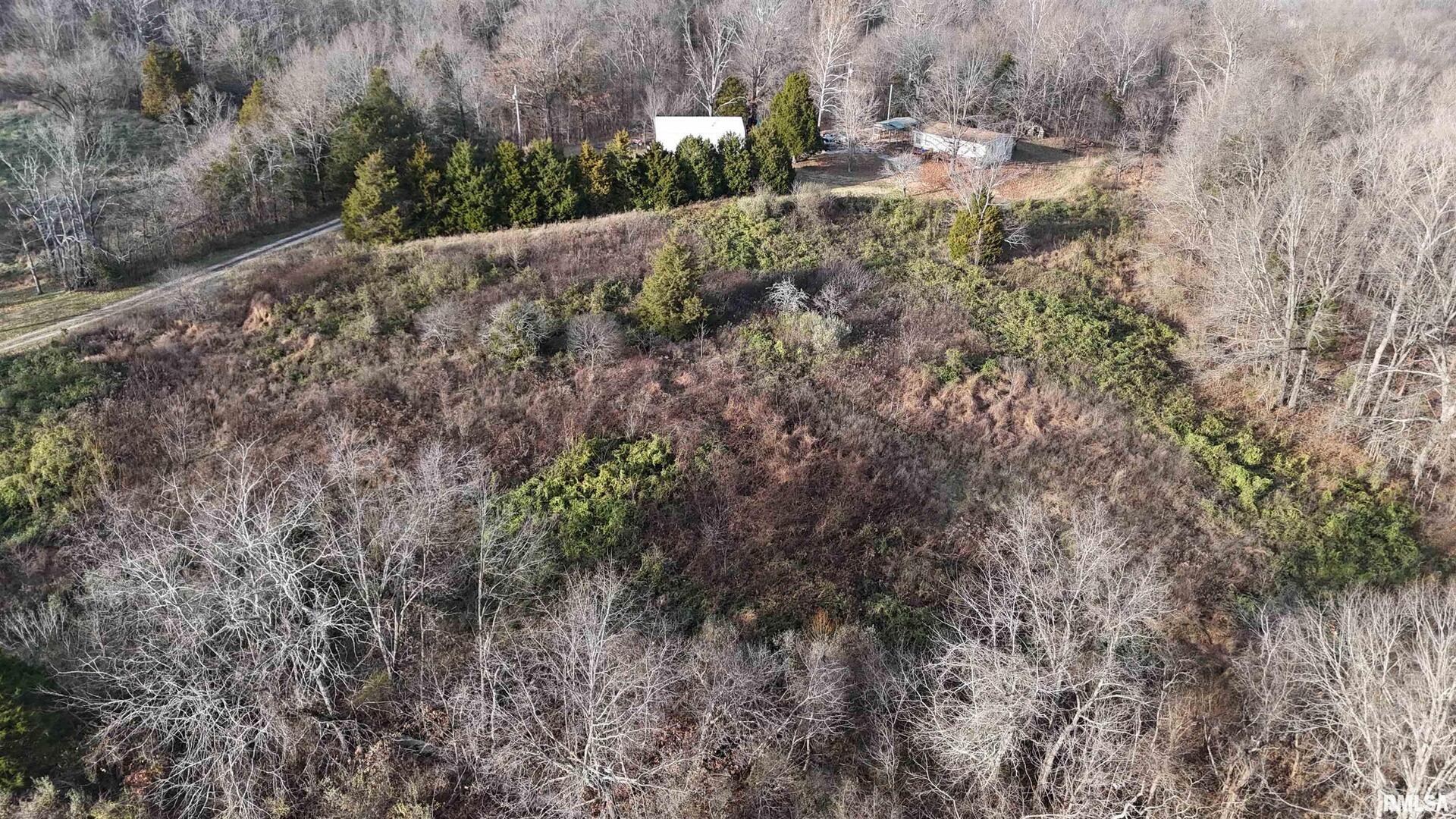 535 Cass Lane Cobden, IL 62920 - Photo 9 of 21 a view of a forest that has a tree