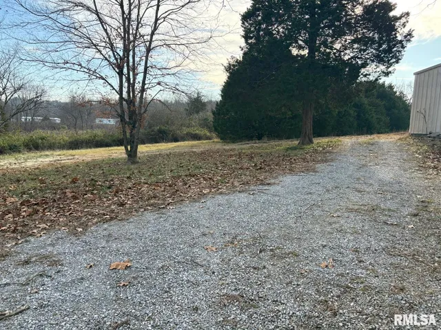 a view of a yard with a tree