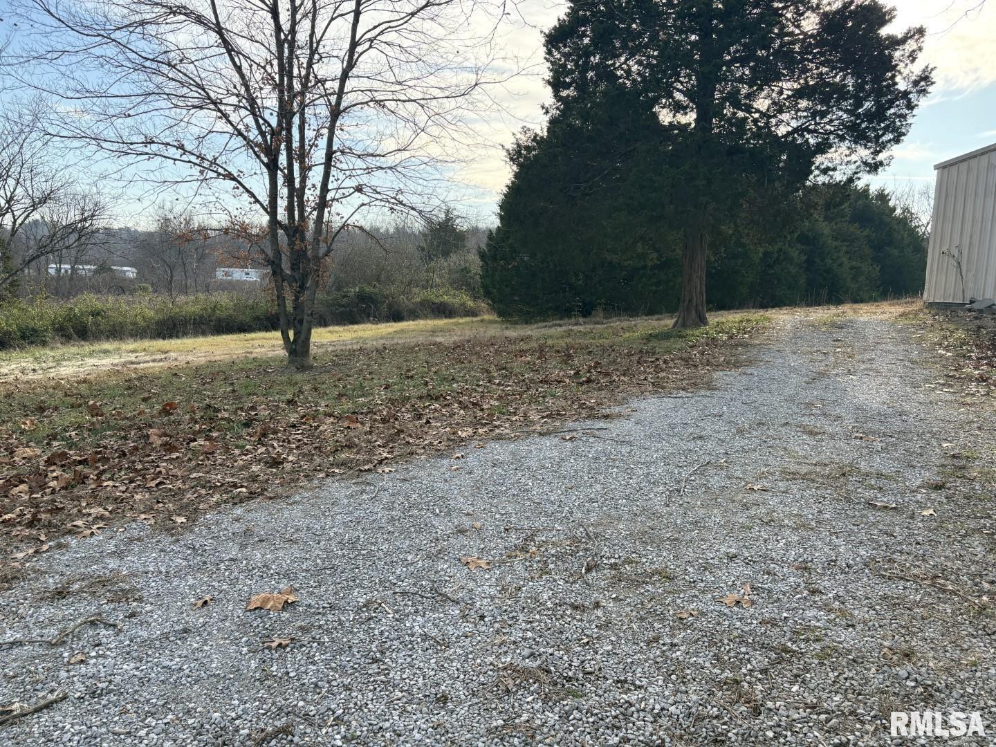 535 Cass Lane Cobden, IL 62920 - Photo 10 of 21 a view of a yard with a tree