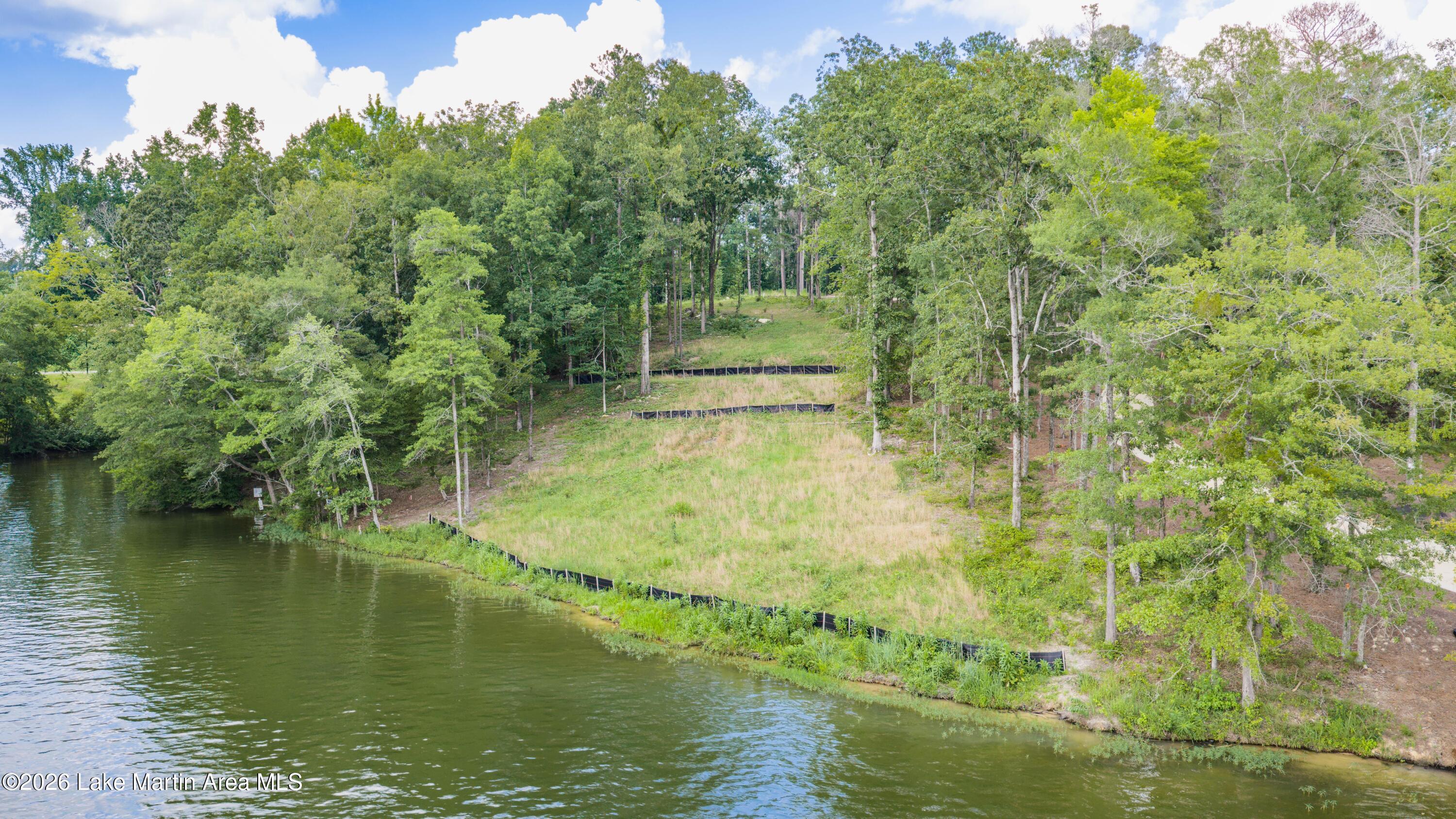 2391 Sturdivant Road Jacksons Gap, AL 36861 - Photo 2 of 11 Gallery Image 2