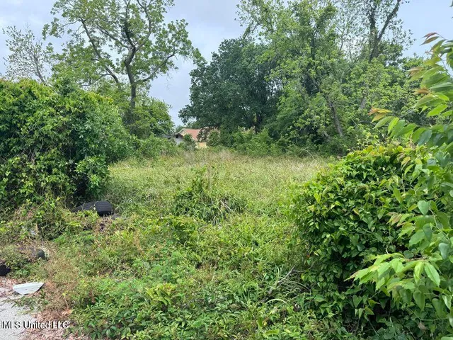 $17,000 | Todd Alley, Gulfport, MS 39501