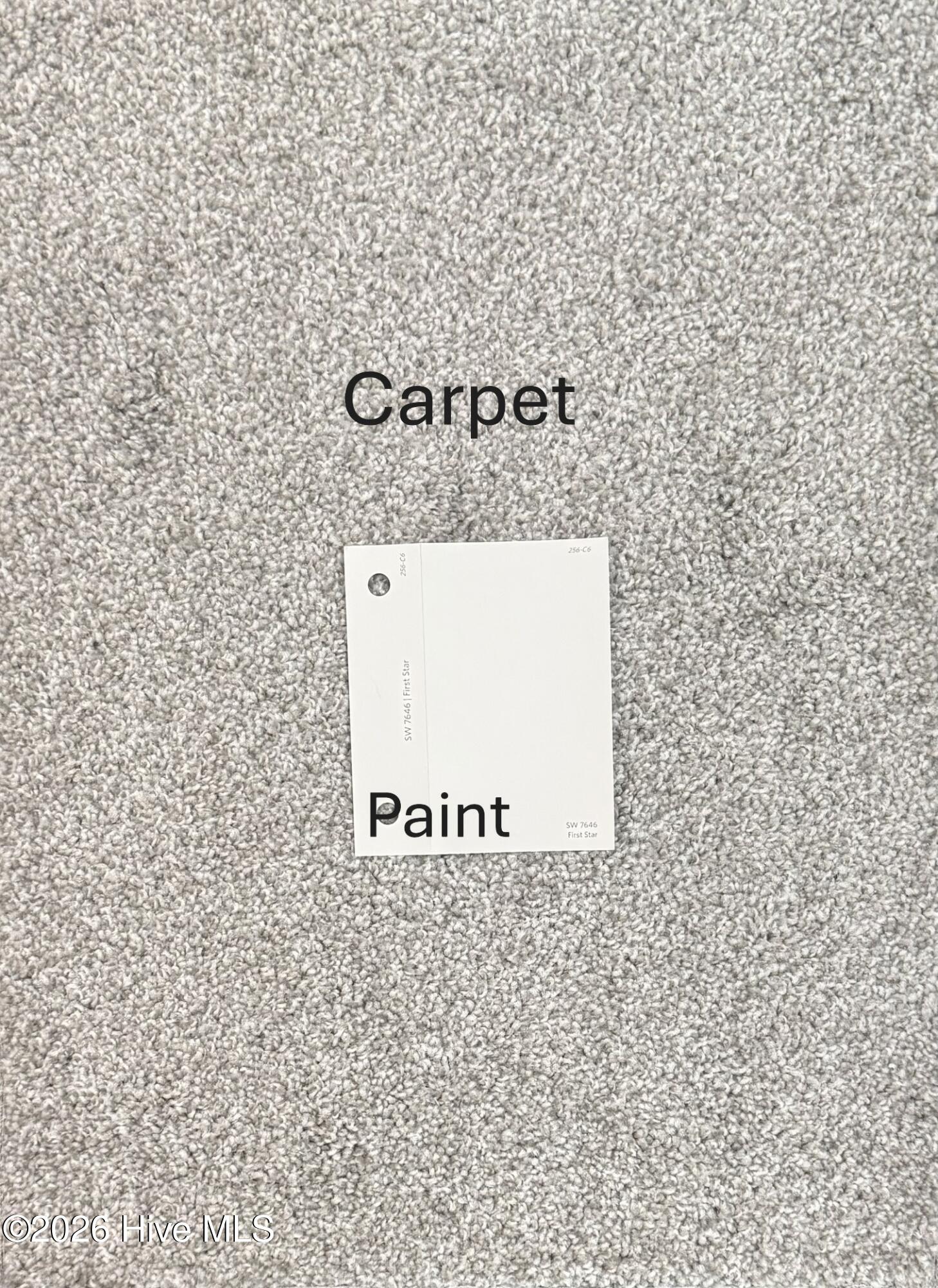 226 Laborde Lane Raeford, NC 28376 - Photo 5 of 6 SL57 Carpet & Paint