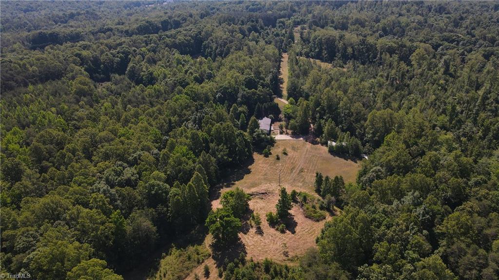 7767 Pearman Quarry Road Kernersville, NC 27284 - Photo 16 of 27