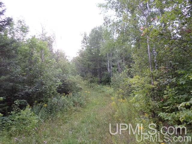 Tbd Valley Road Hurley, WI 54534 - Photo 2 of 6
