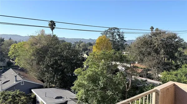 a view of a building with potted plants