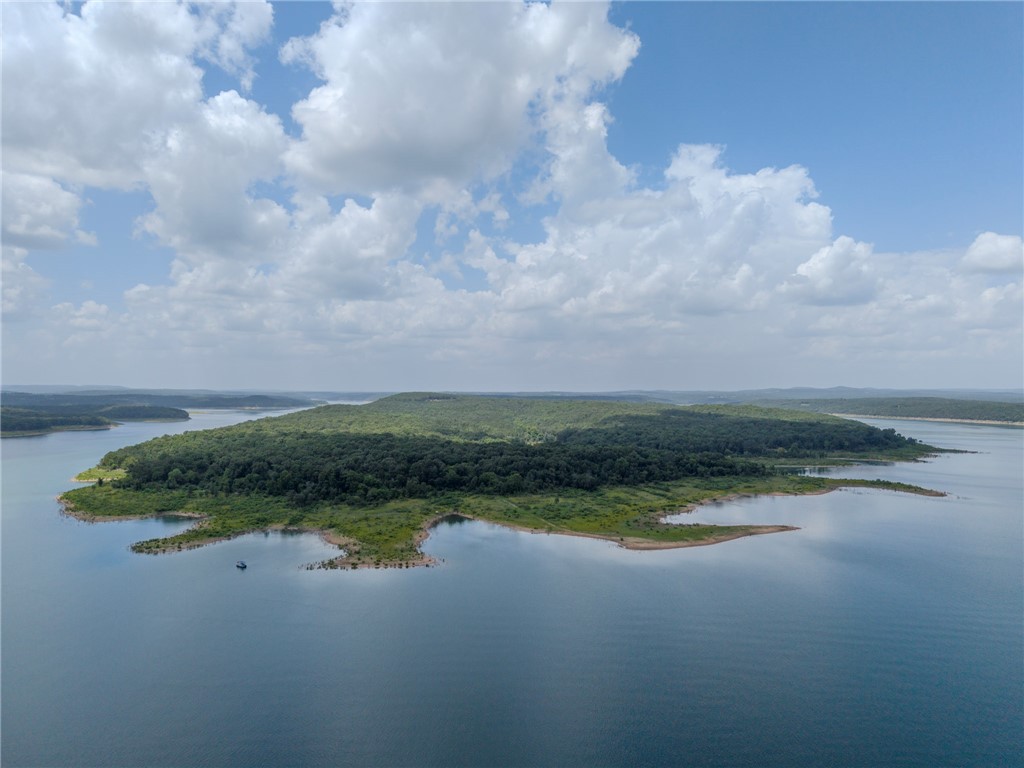 77 Timber Shoals Ranch Lead Hill, AR 72644 - Photo 18 of 29 Expansive waterfront property featuring dense tree coverage