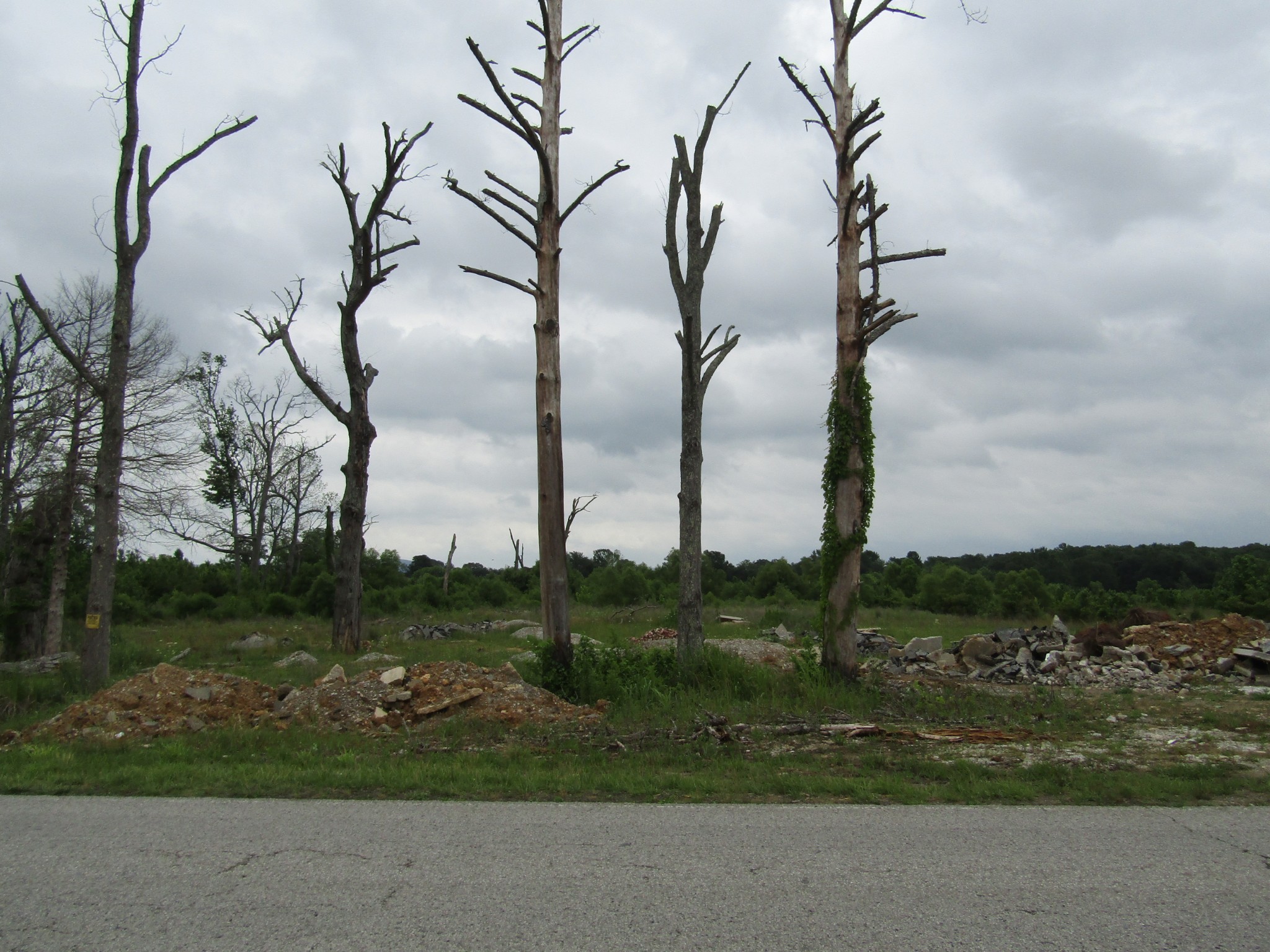 0 Aedc Road Hillsboro, TN 37342 - Photo 1 of 6 Gallery Image 1