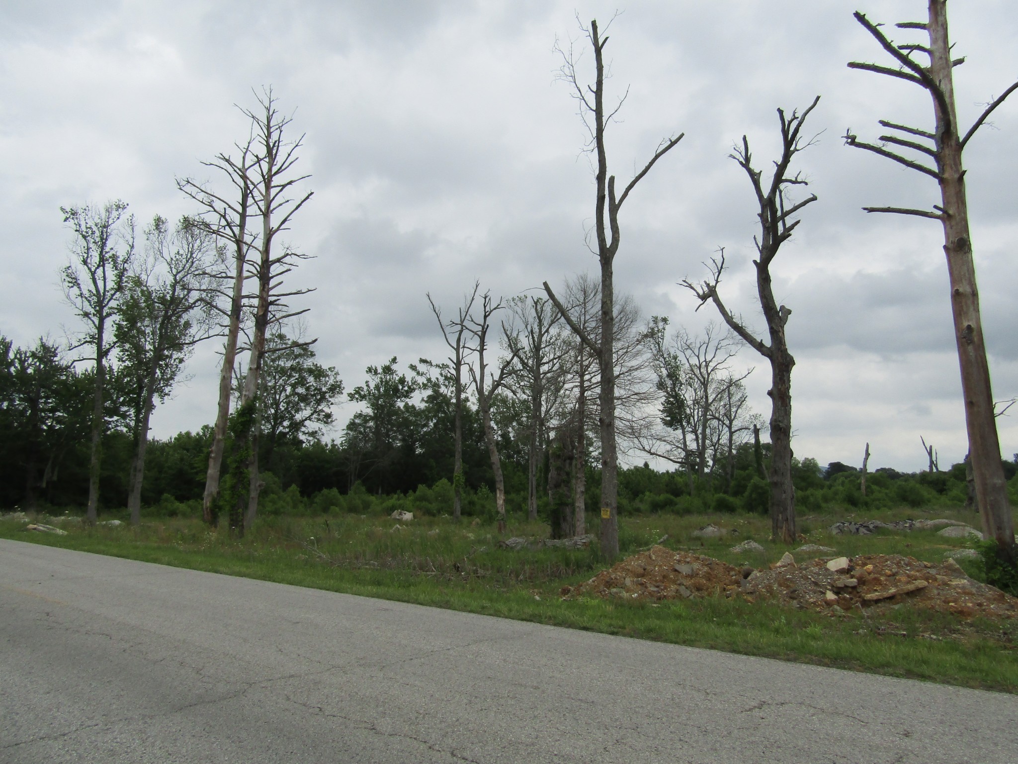 0 Aedc Road Hillsboro, TN 37342 - Photo 2 of 6 Gallery Image 2