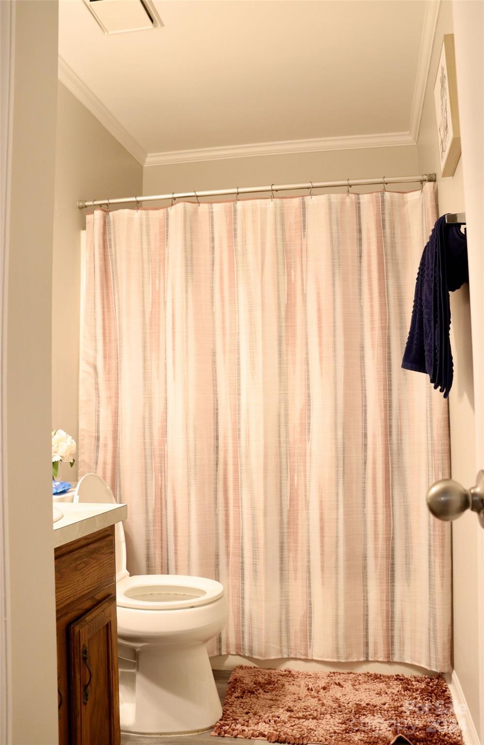 209 Old Williams Road Wingate, NC 28174 - Photo 13 of 13 a bathroom with a toilet a sink and curtain