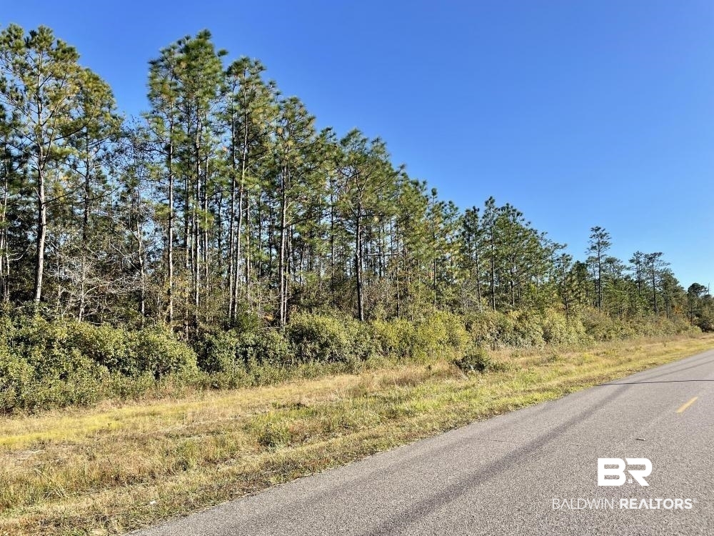 0 Riverview Pointe Drive Theodore, AL 36582 - Photo 11 of 21