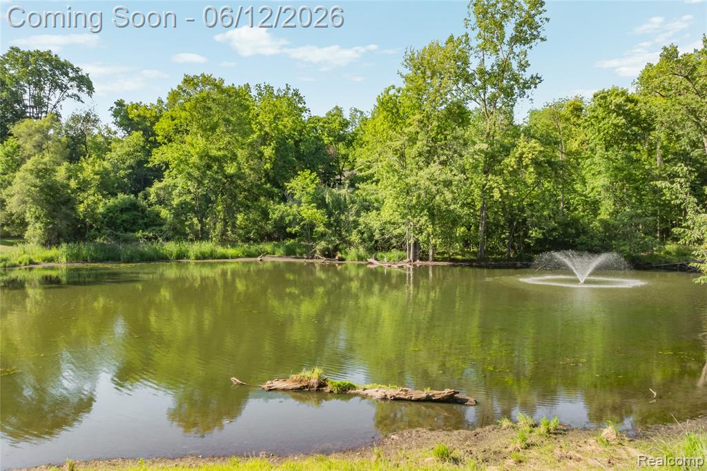 905 Spring Drive Northville, MI 48167 - Photo 95 of 98