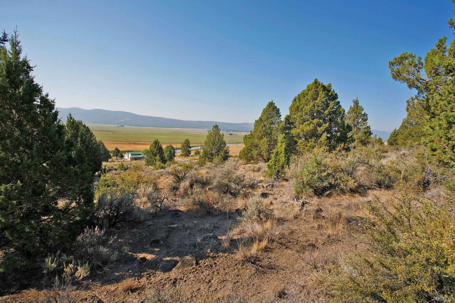 Lot 1 Drews Ranch Road Chiloquin, OR 97624 - Photo 5 of 8 em look S.sprague land house site _MG_64