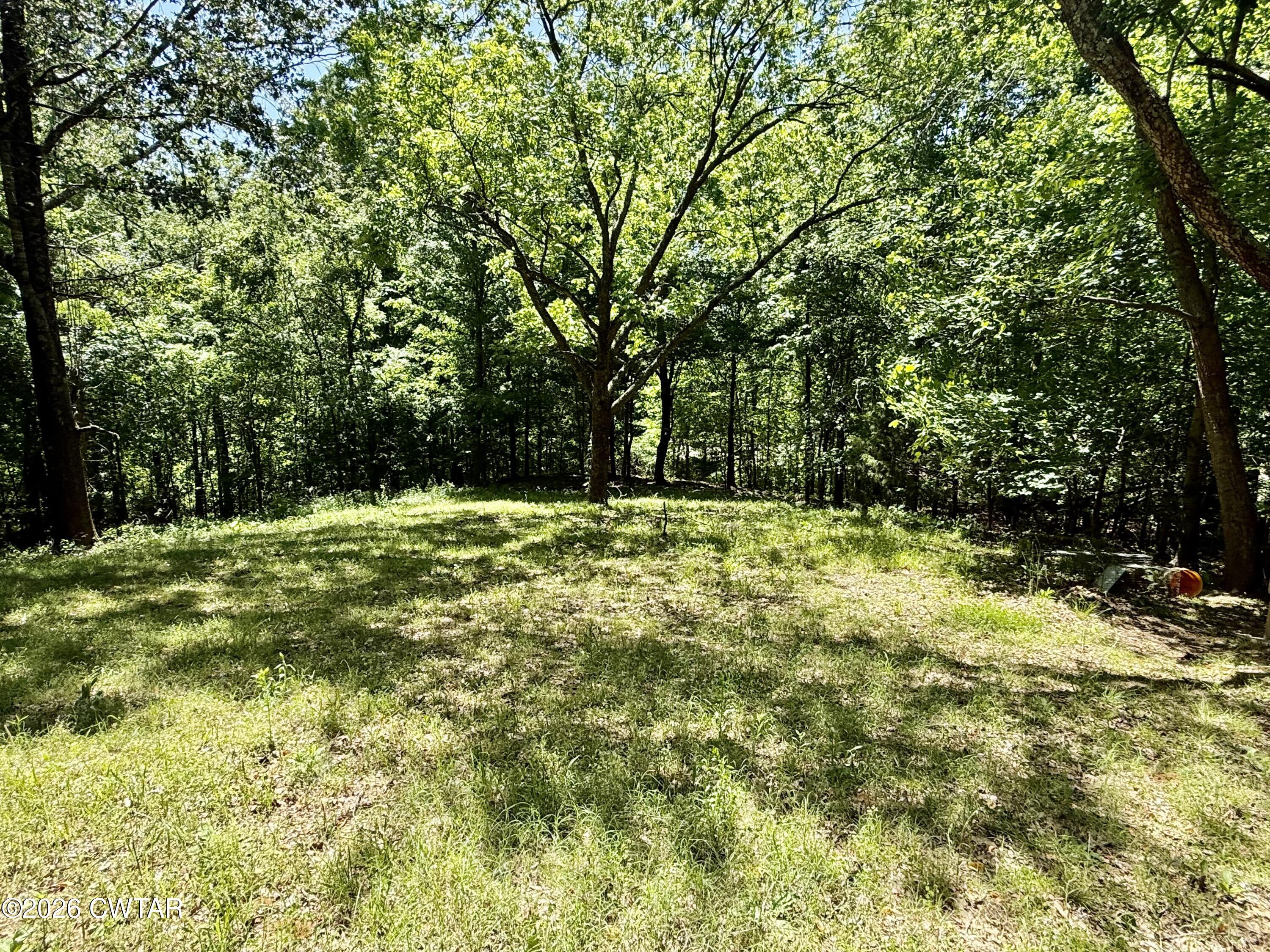 4143 Rives Mt Pelia Road Rives, TN 38253 - Photo 35 of 39 IMG_5524