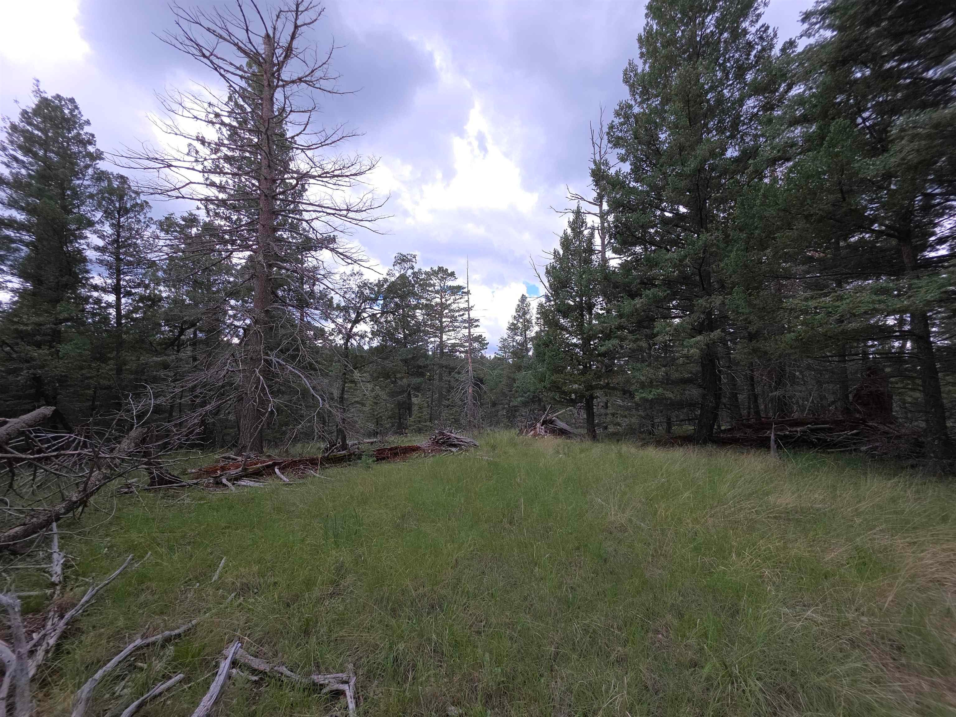Lot 58 Big Dipper Road Mayhill, NM 88339 - Photo 28 of 50 Gallery Image 28