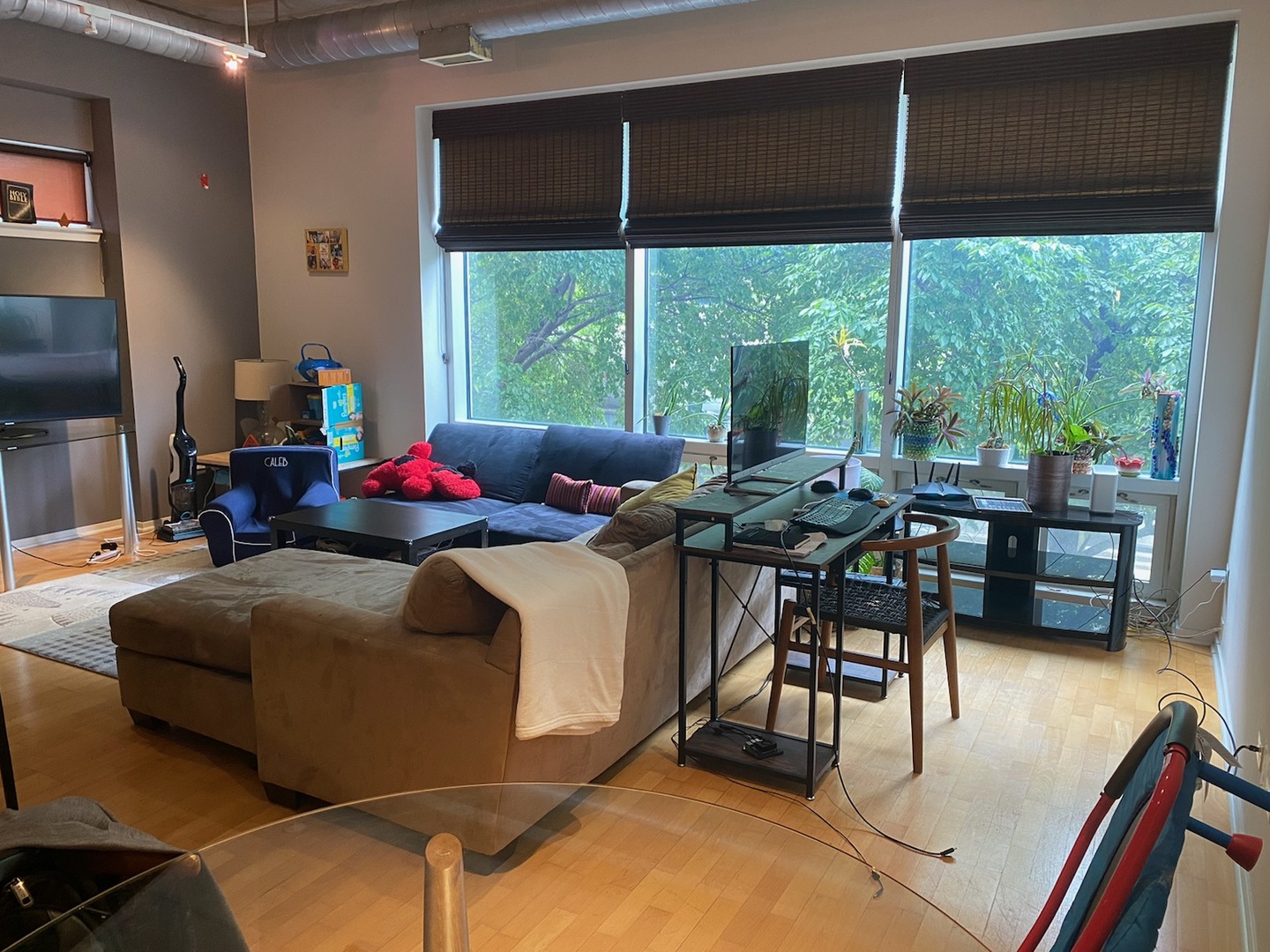 1640 Maple Avenue, Unit 203 Evanston, IL 60201 - Photo 3 of 10 a living room with furniture and a large window