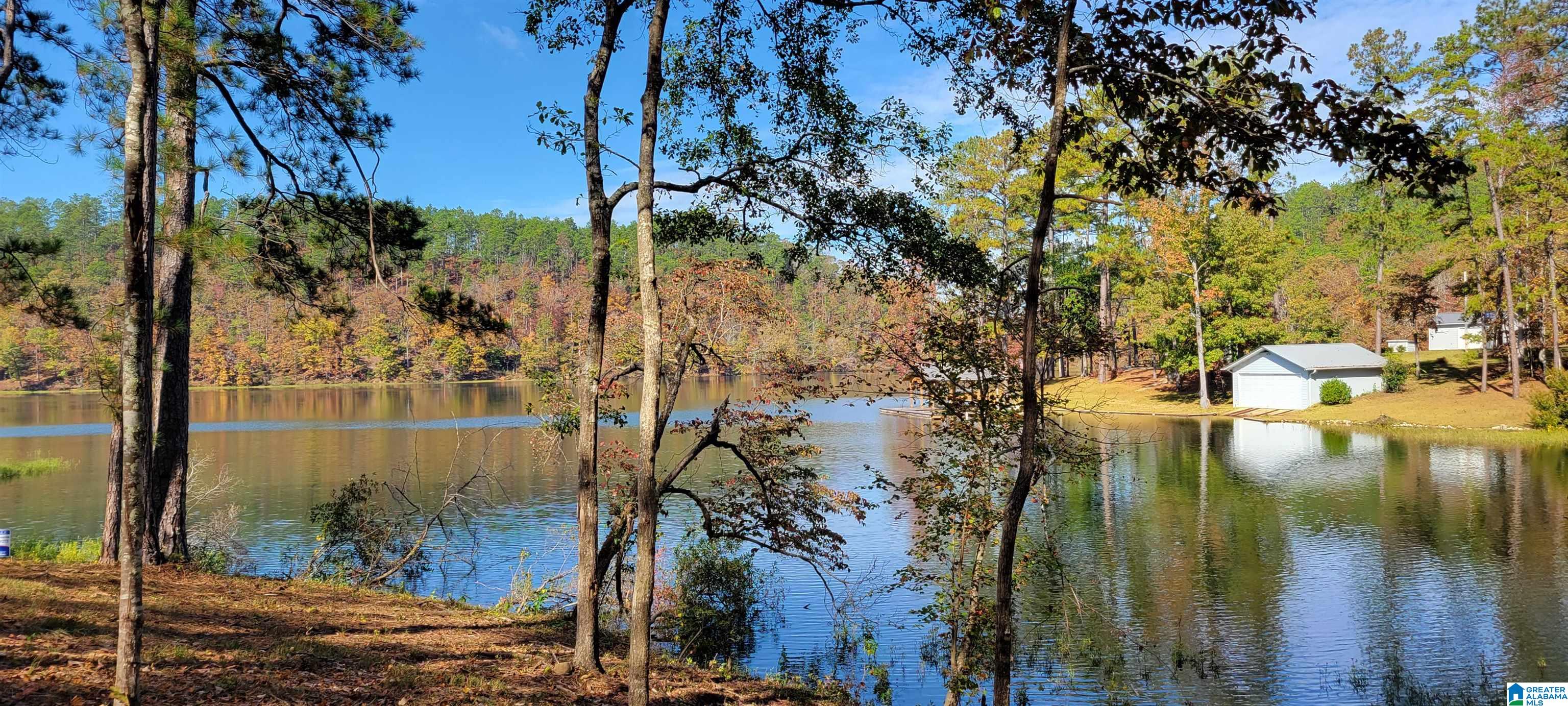 1830 Mimosa Point Road, Unit 1 Rockford, AL 35136 - Photo 12 of 24