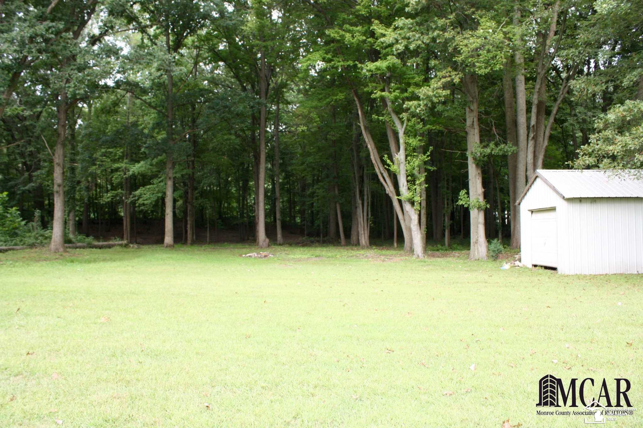 8125 Wiseman Road Lambertville, MI 48144 - Photo 2 of 27 View of wooded back