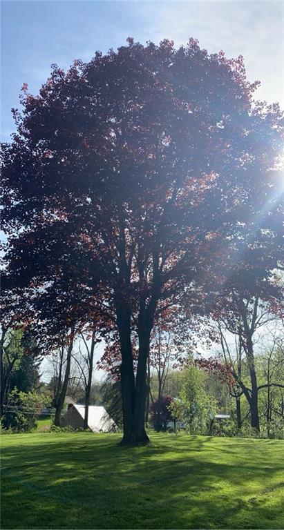 238 Hagentown Road Parker, PA 16049 - Photo 5 of 30 a view of outdoor space green field and trees