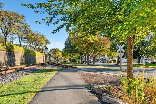 a street view with large trees