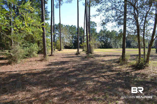 29409 Archie Road Elberta, AL 36530 - Photo 7 of 20 Cleared & wooded