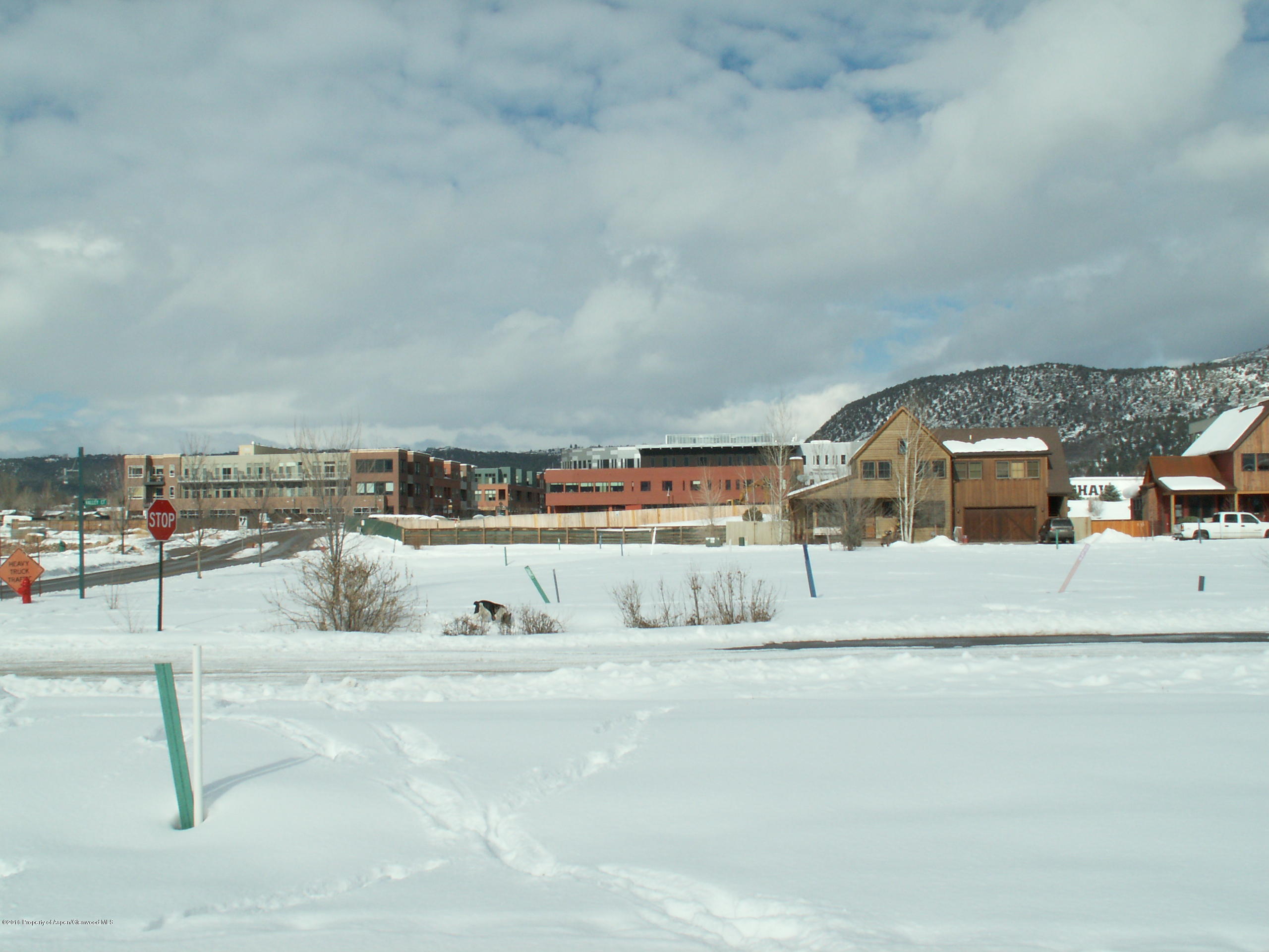 133 Valley Court Basalt, CO 81621 - Photo 6 of 7 a view of swimming pool with a yard and seating area