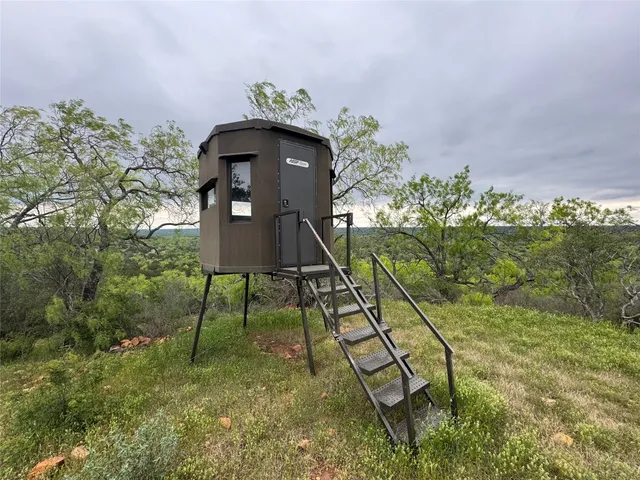 a view of backyard from a window