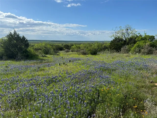 a view of a field with an ocean
