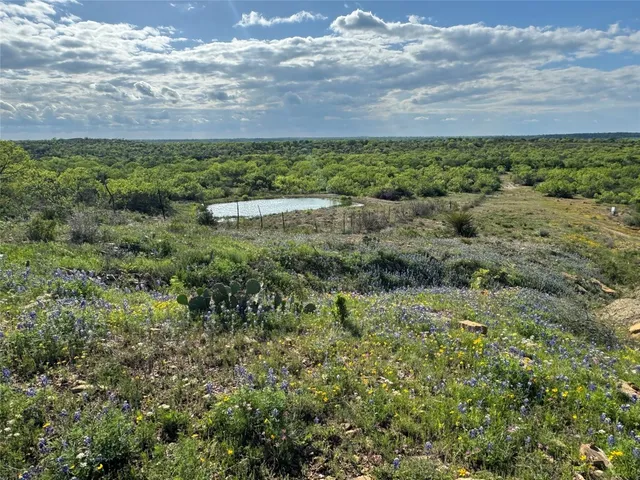 a view of a garden with a flower