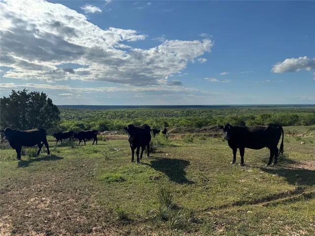 $22,625,000 | 7700 Farm To Market Road 500, San Saba, TX 76877