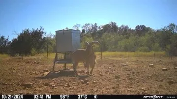 $22,625,000 | 7700 Farm To Market Road 500, San Saba, TX 76877