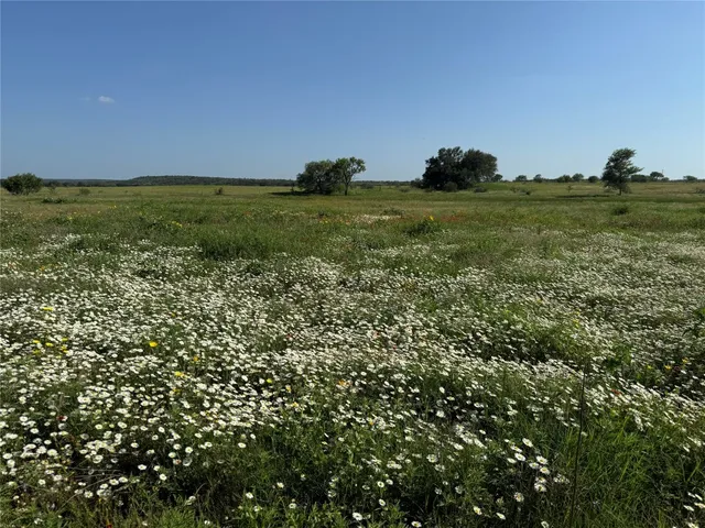 $22,625,000 | 7700 Farm To Market Road 500, San Saba, TX 76877