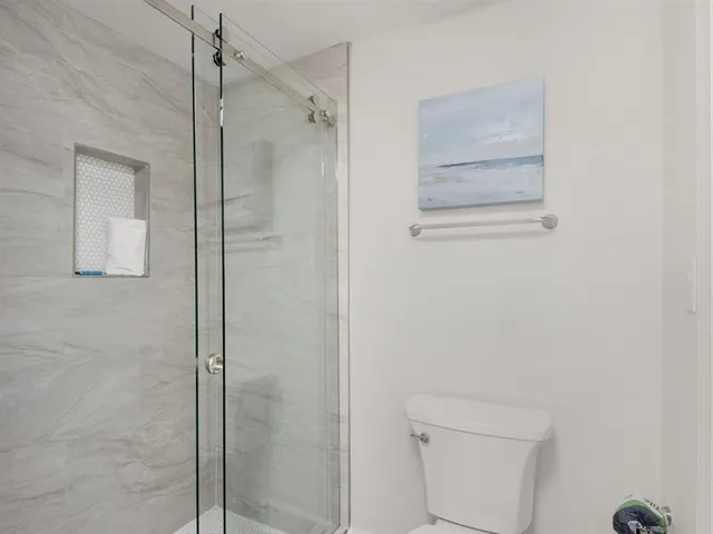 a bathroom with a shower and toilet