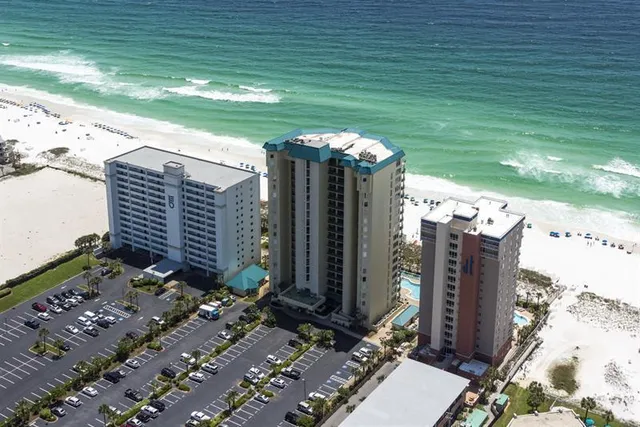 a view of a backyard with plants