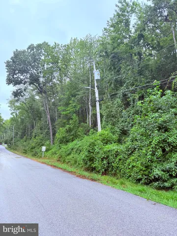 a view of a forest with a houses