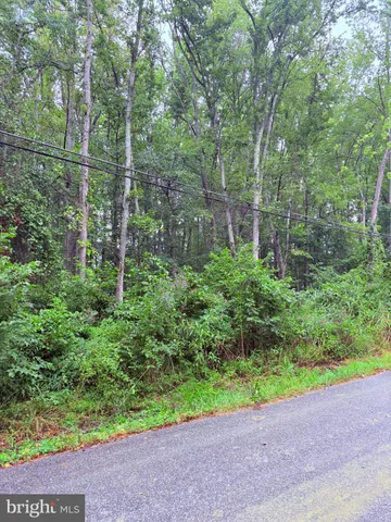 a view of outdoor space and garden