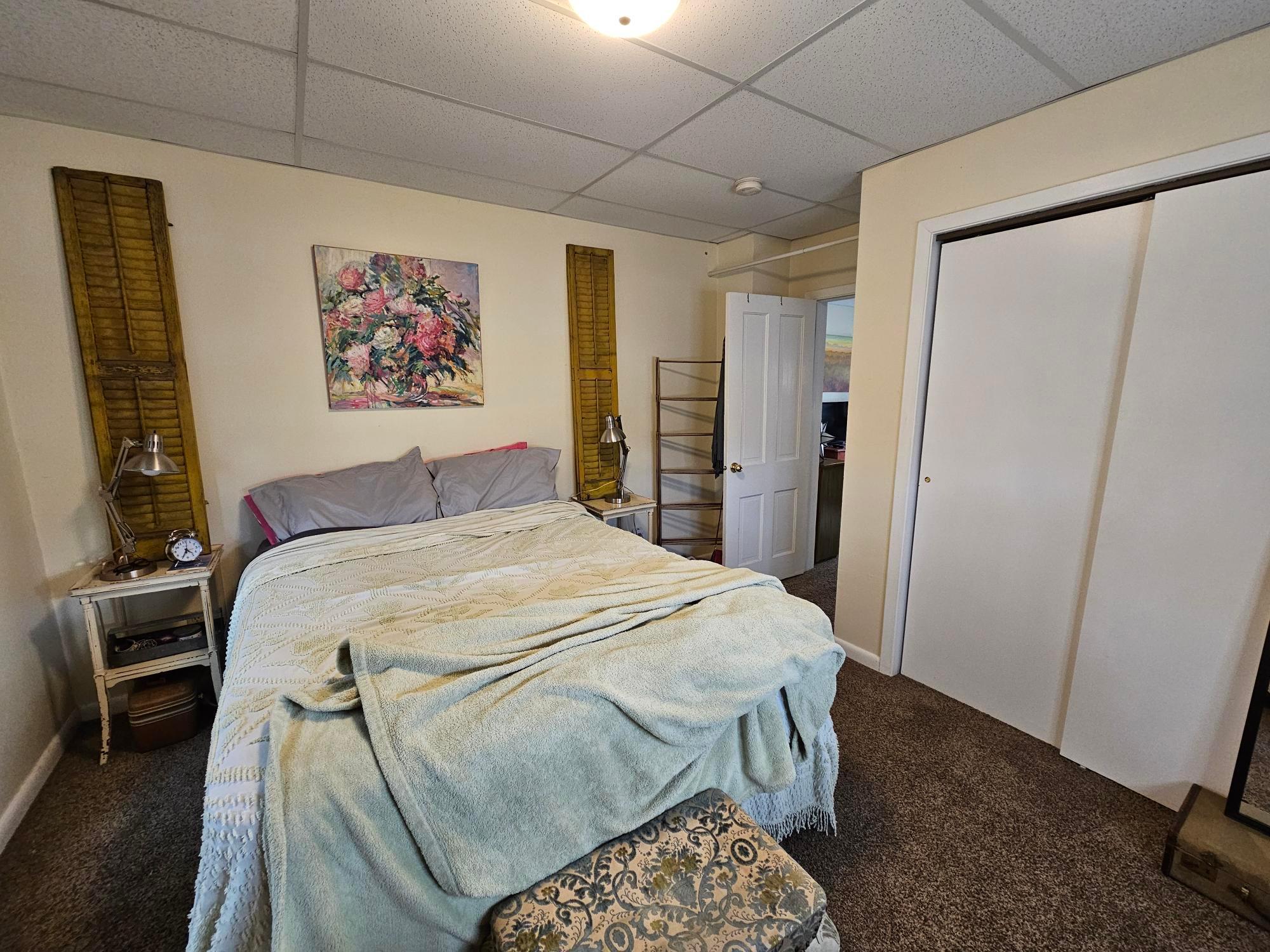 517 Warren Avenue Spring Valley, MN 55975 - Photo 15 of 29