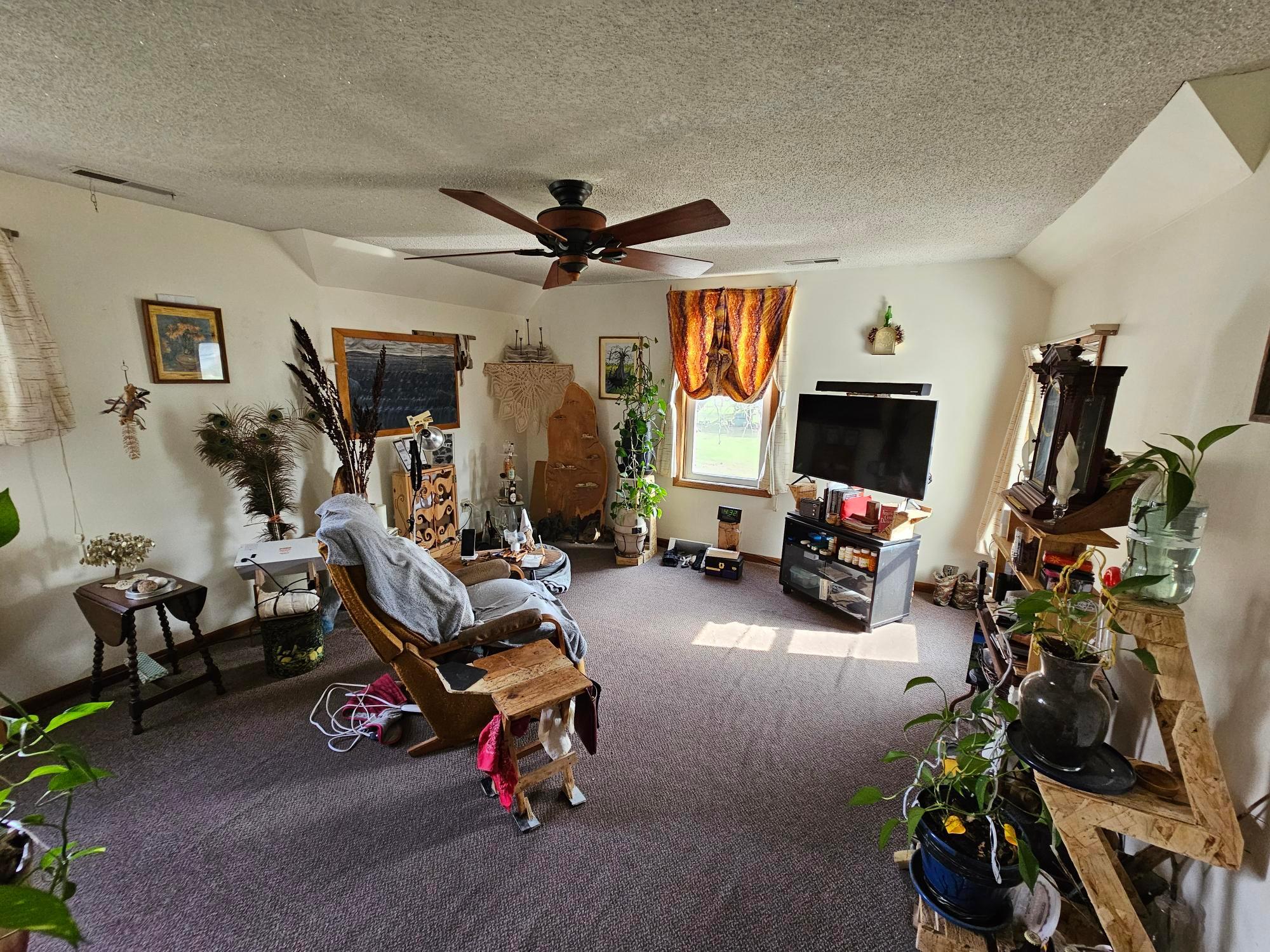 517 Warren Avenue Spring Valley, MN 55975 - Photo 20 of 29