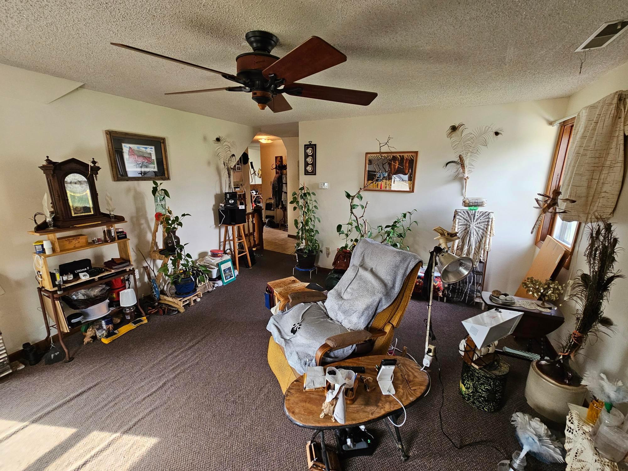 517 Warren Avenue Spring Valley, MN 55975 - Photo 21 of 29