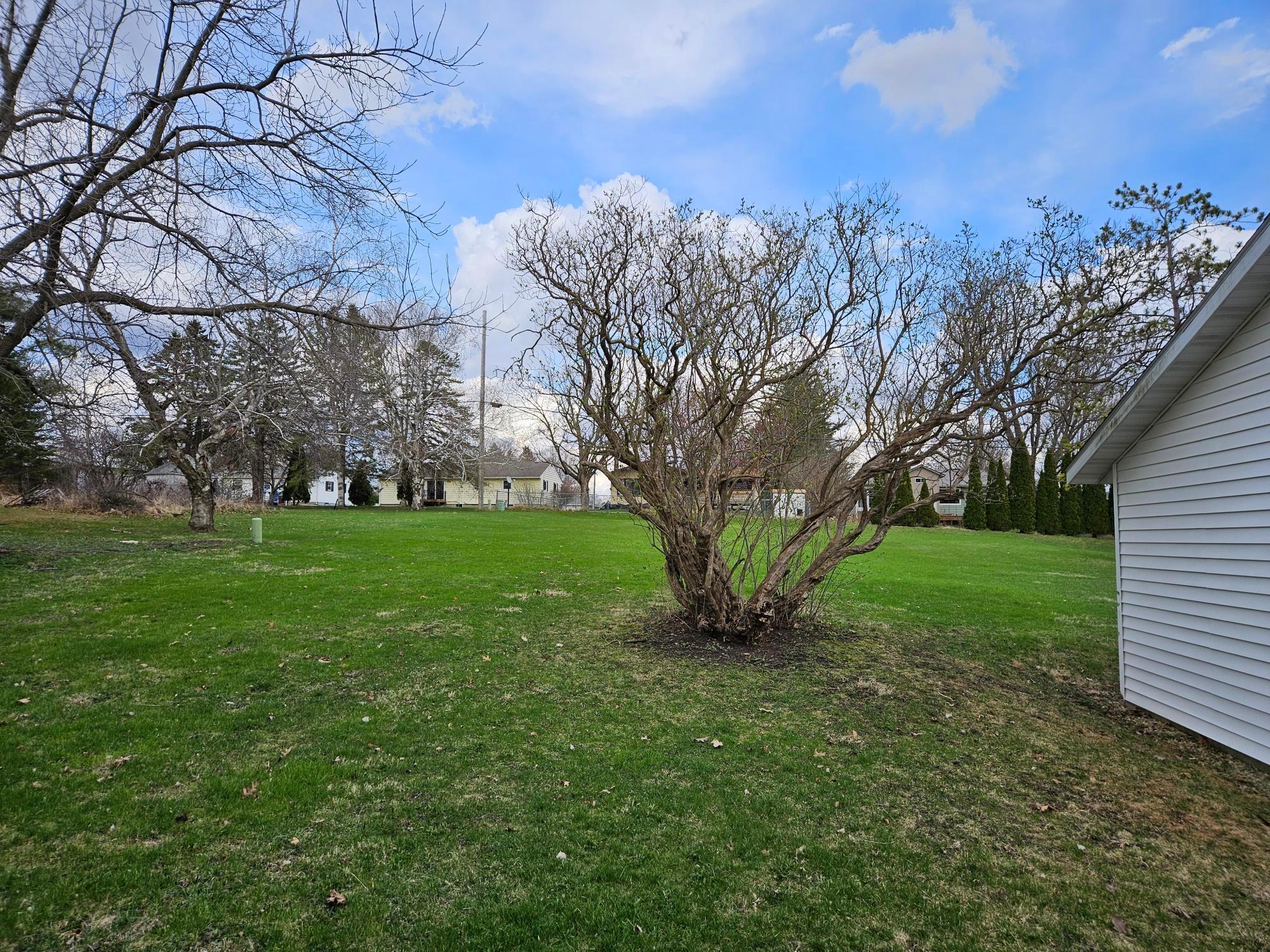 517 Warren Avenue Spring Valley, MN 55975 - Photo 5 of 29