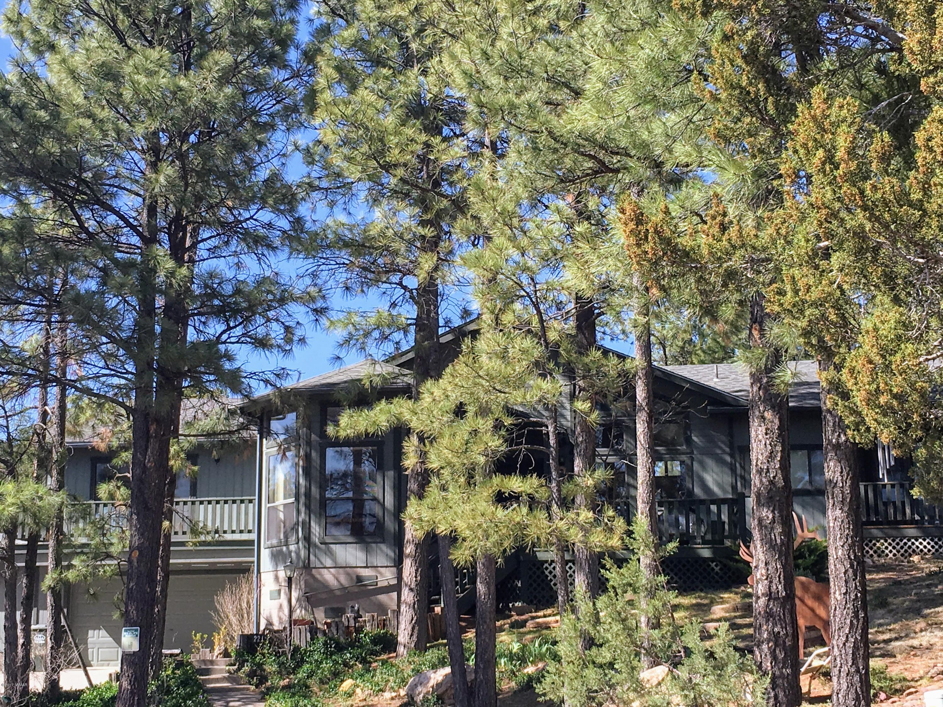 2216 Putter Place Overgaard, AZ 85933 - Photo 17 of 19