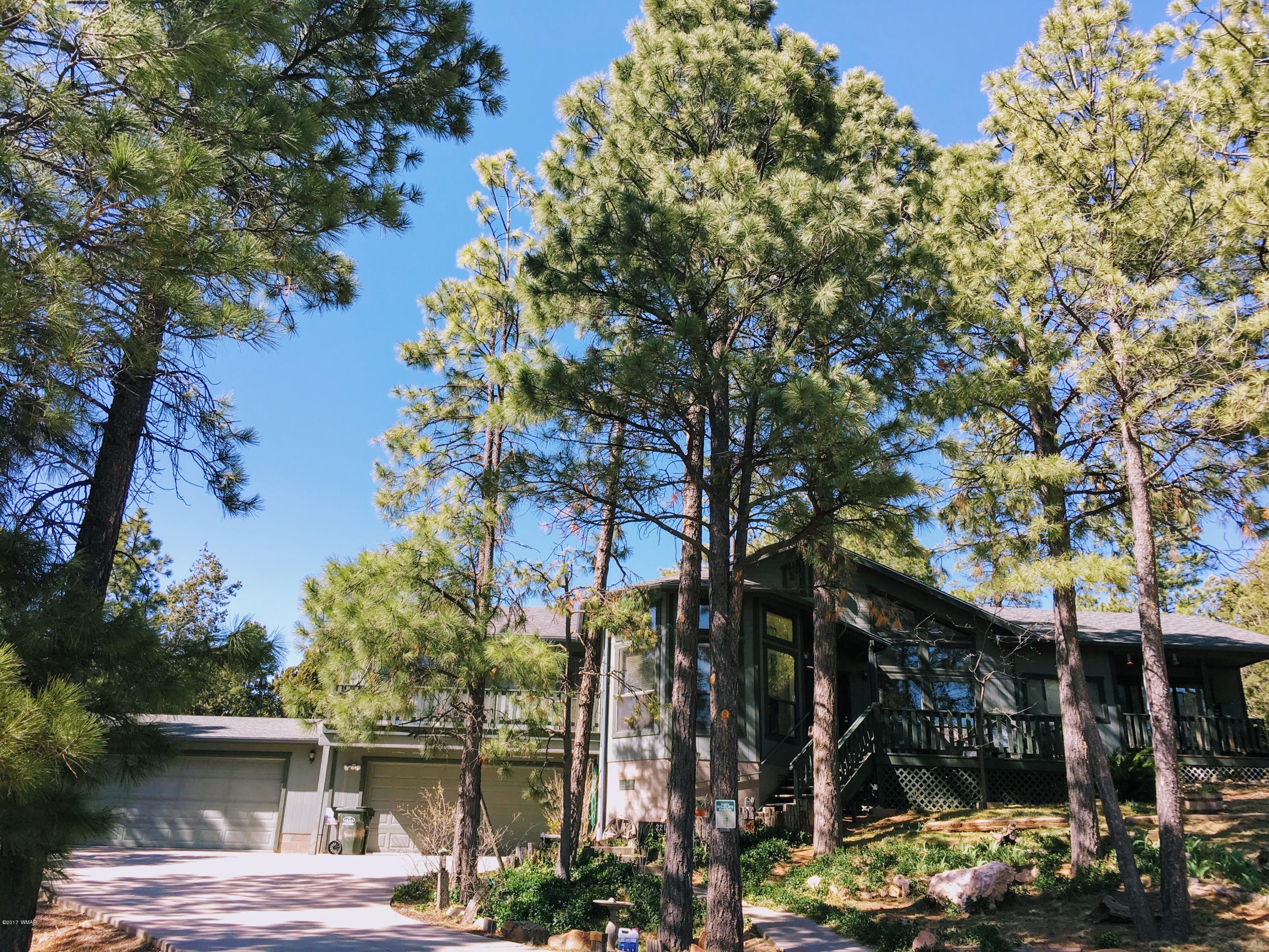 2216 Putter Place Overgaard, AZ 85933 - Photo 19 of 19