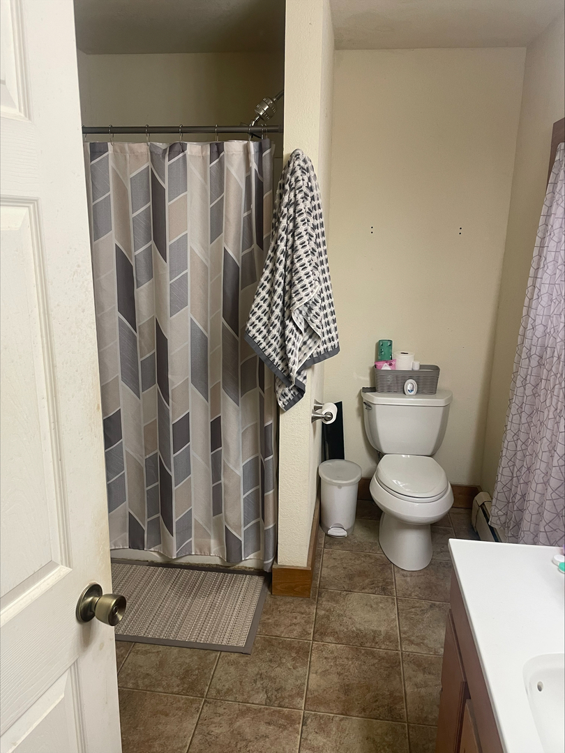 106 South East Street Dover, IL 61323 - Photo 7 of 9 a bathroom with a toilet and a shower curtain