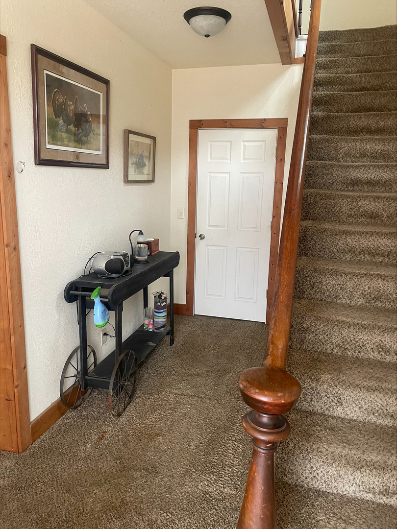 106 South East Street Dover, IL 61323 - Photo 9 of 9 a room with furniture and a potted plant