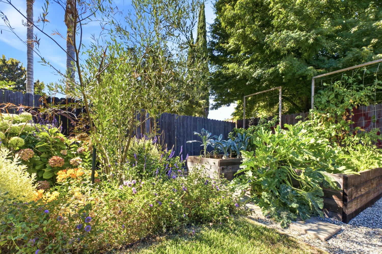 6860 Pocket Road Sacramento, CA 95831 - Photo 47 of 58 Gallery Image 47