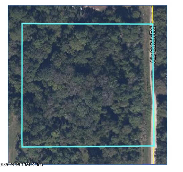 4091 Als Satch Road Middleburg, FL 32068 - Photo 3 of 3 land